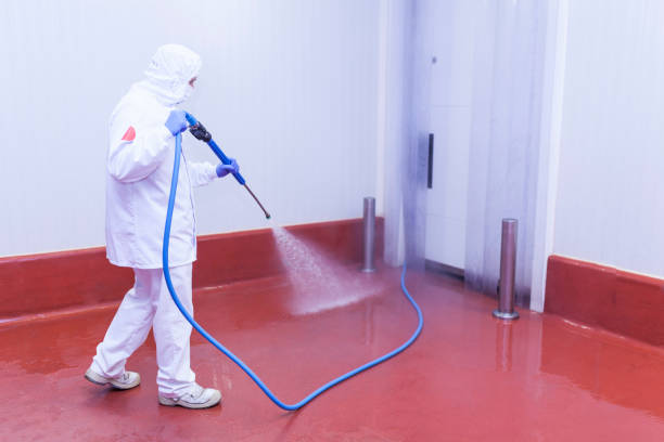Best Spring Cleaning  in Tennessee Ridge, TN